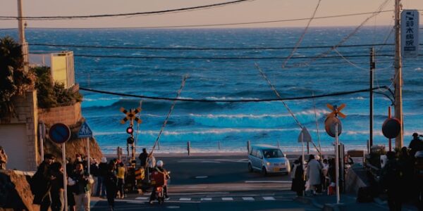 Sunset over Kamakura with Enoden train passing a shrine